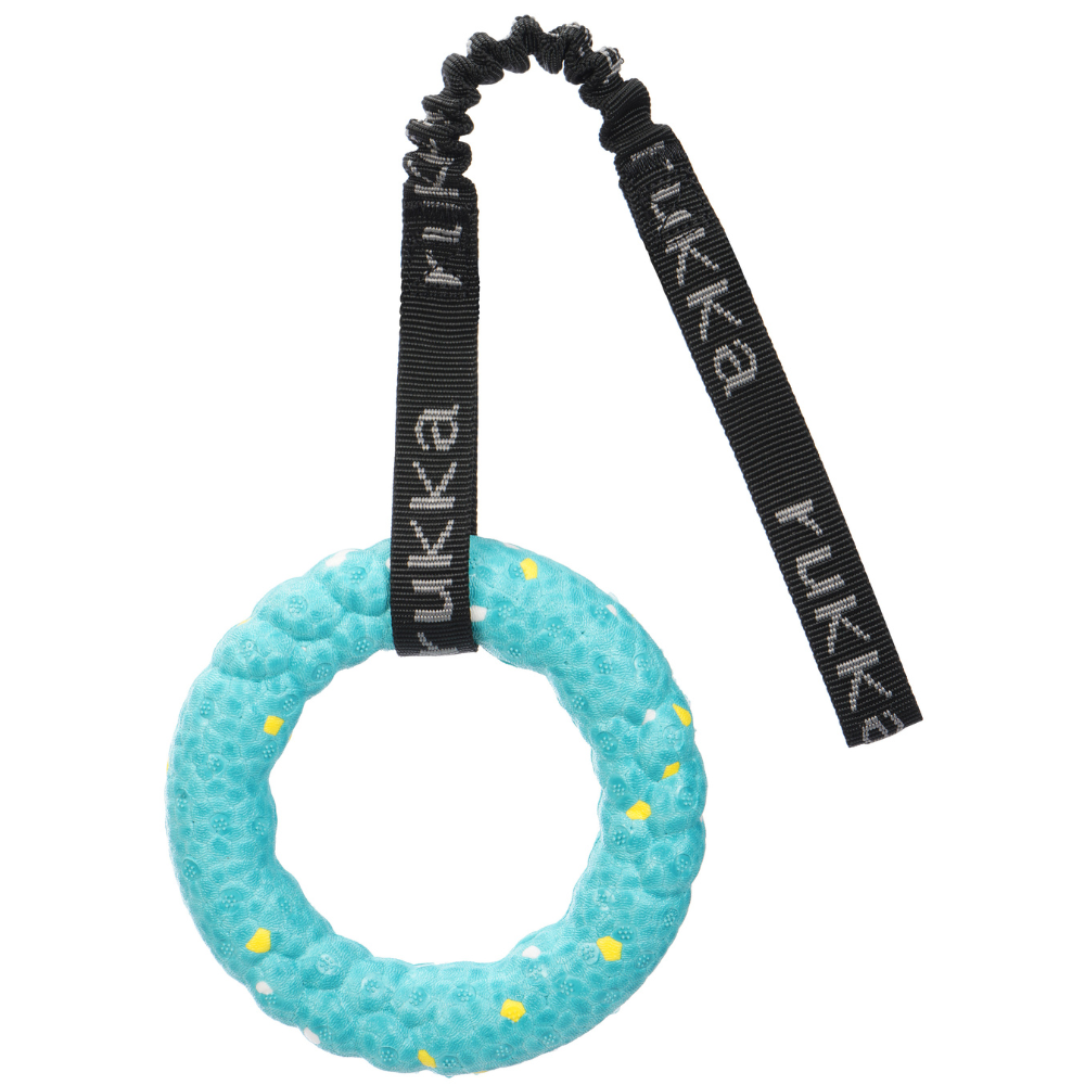 Ring Toy Ocean