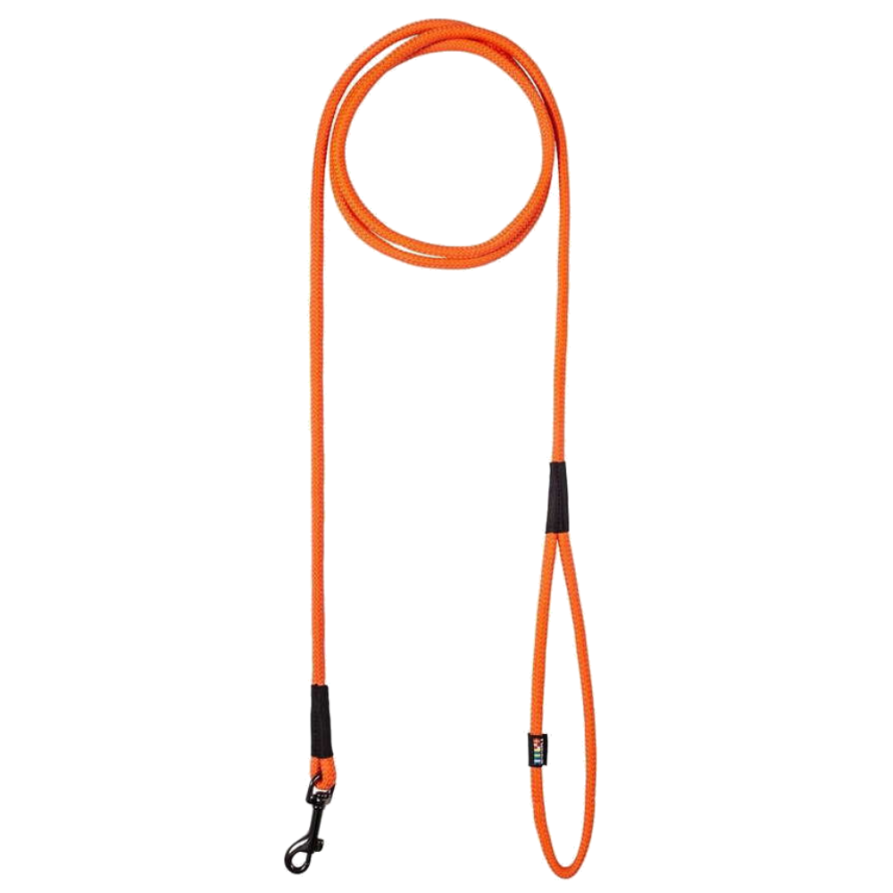 Swim Leash Orange