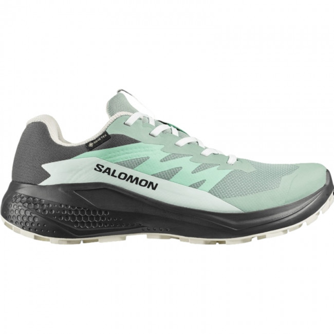 Salomon Alphaglide GTX