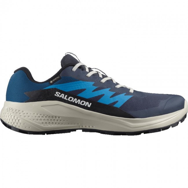 Salomon Alphaglide GTX