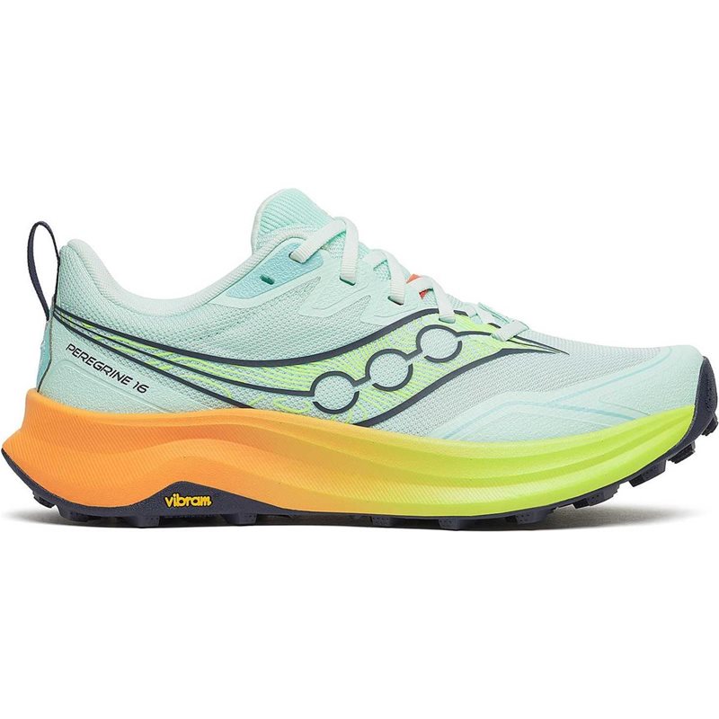 Peregrine 16 W