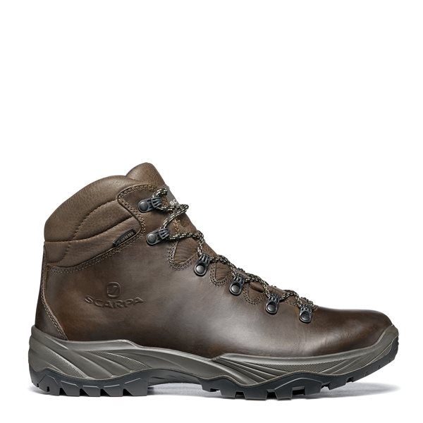 Terra GTX Shoes Men