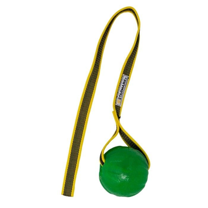 Gripcord Chew Ball Long M