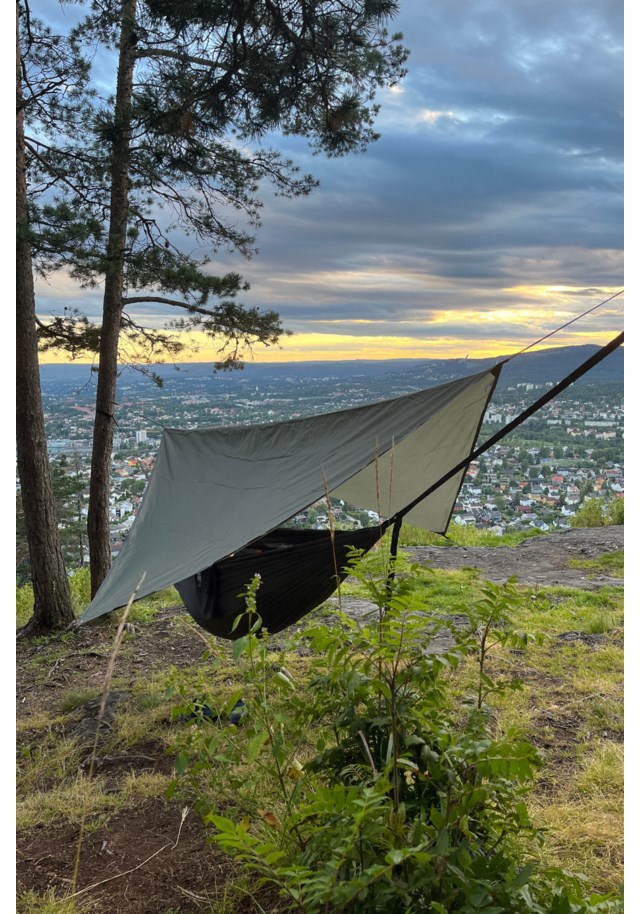 Fonnabu tarp