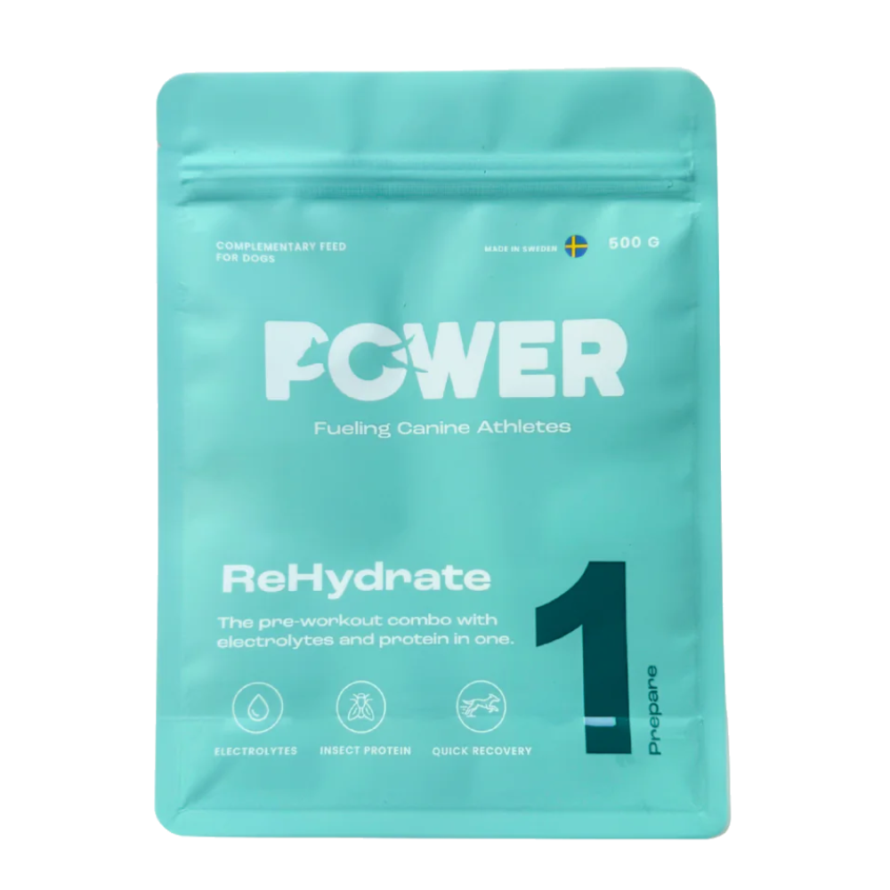 Power Rehydrate 500 g