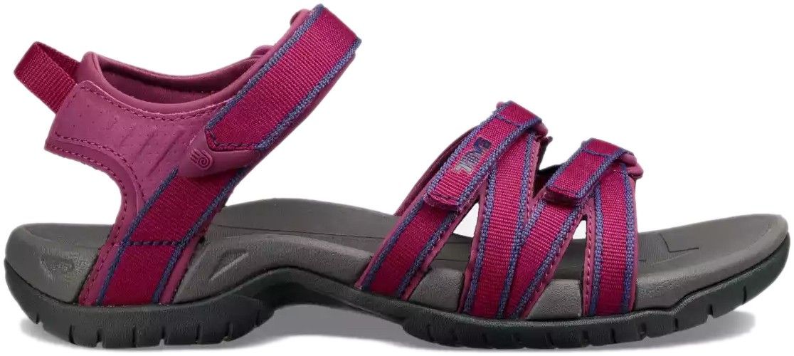 W's Tirra Boysenberry