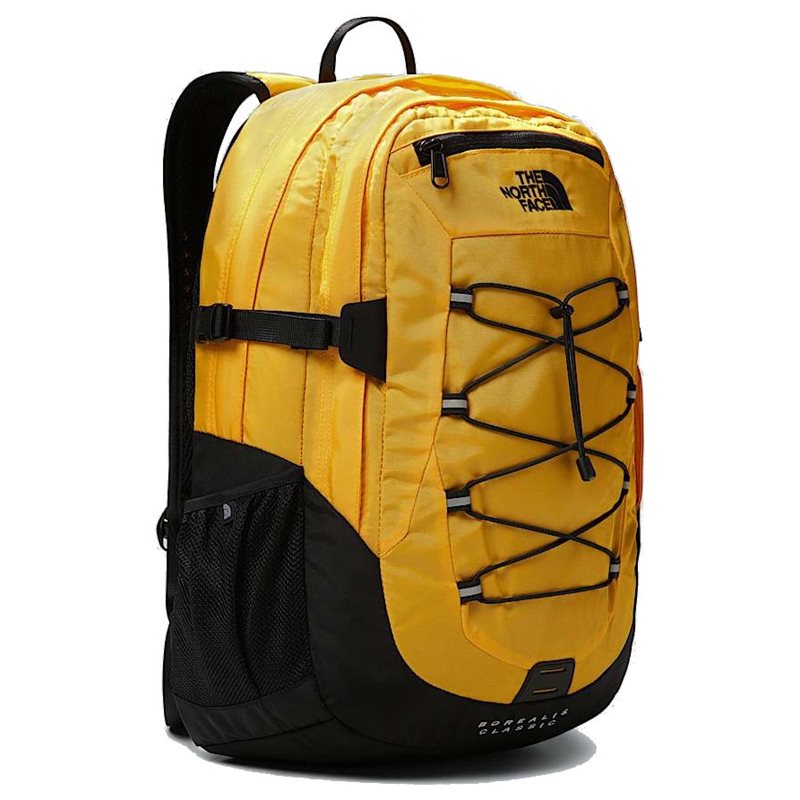Borealis Classic Summit Gold/Tnf Black