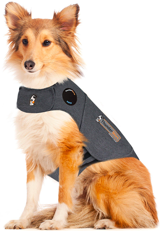 Hund L-XL