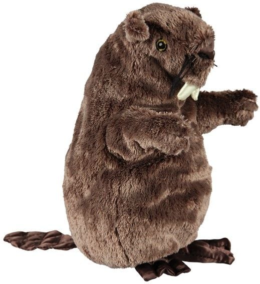 Bever 27 cm