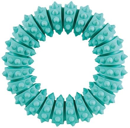 Denta Fun Ring Mintfresh Naturgummi Ø 12 cm