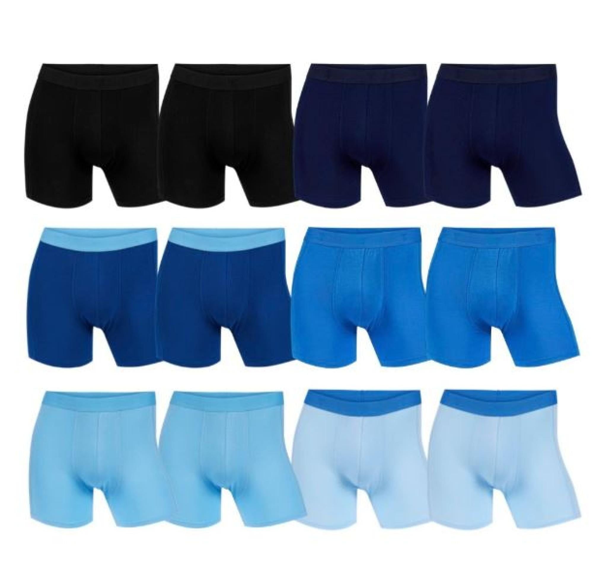 Boxer Basic Briefs 12-pk Blue