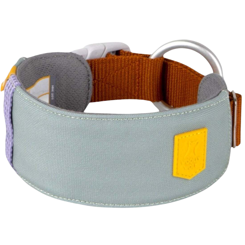 Alpha 360 Collar XL 55-65 cm Glacier Green Mix