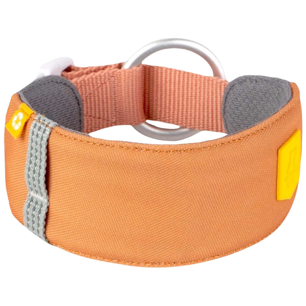 Alpha 360 Collar XL 55-65 cm Golden Hour Mix