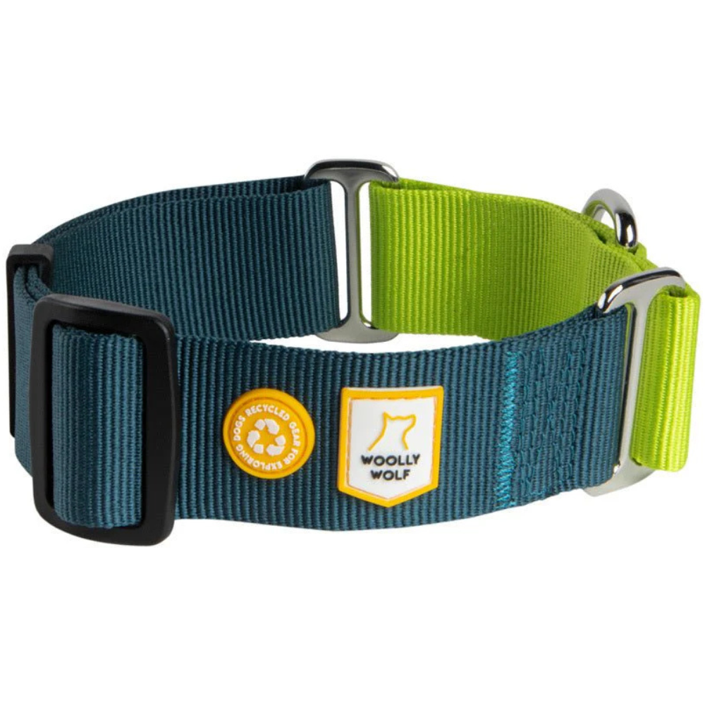 Color Block Martingale Collar M (30-45 cm) Deep Teal Mix