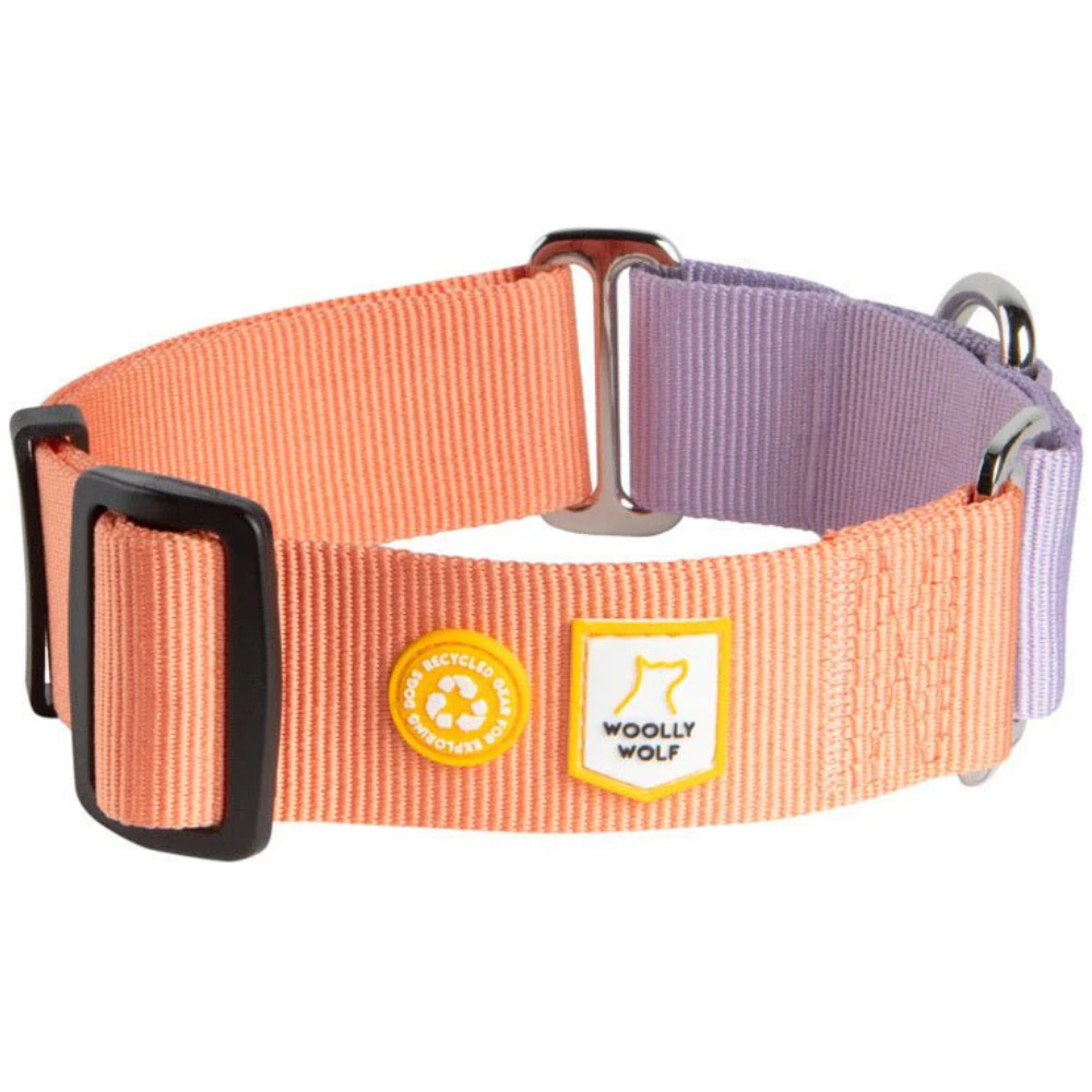 Color Block Martingale Collar M (30-45 cm) Salmon Pink Mix