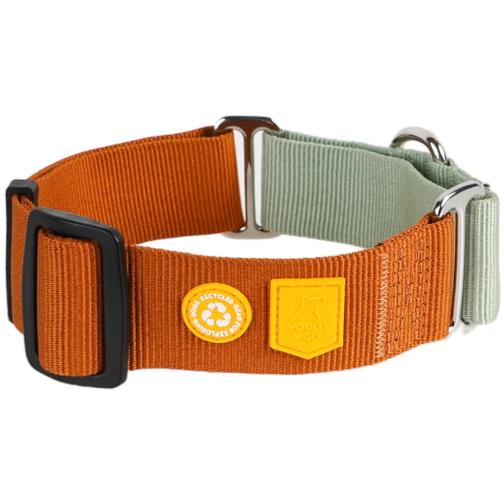 Color Block Martingale Collar S (25-35 cm) Terracotta Mix