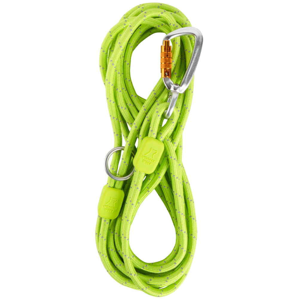 Long Rope Leash 8 mm Lime