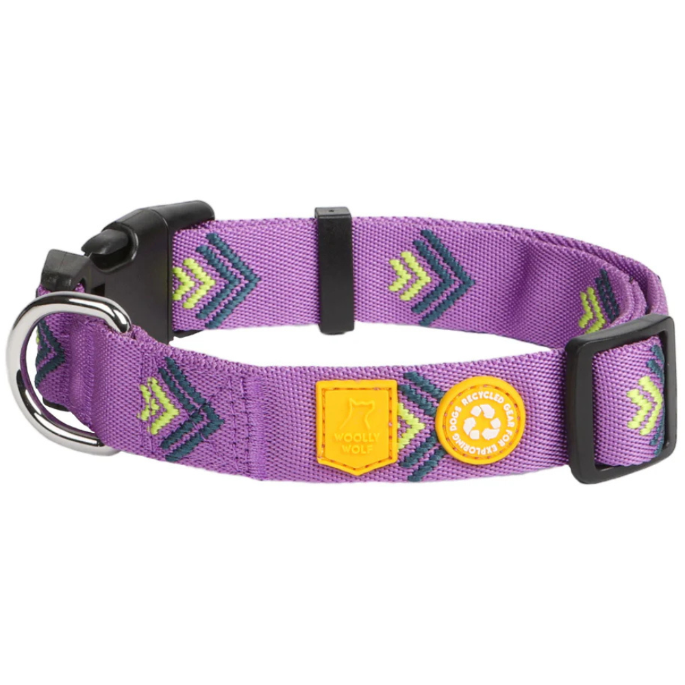 Northern Lights Collar S (25-35 cm) Violet