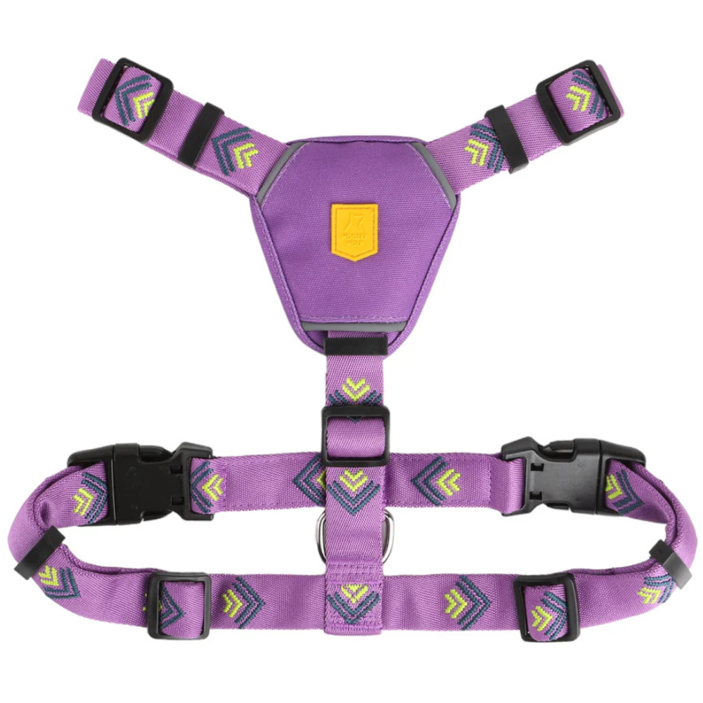 Northern Lights Harness XXS-S Violet