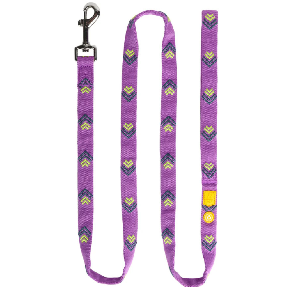 Northern Lights Leash Violet