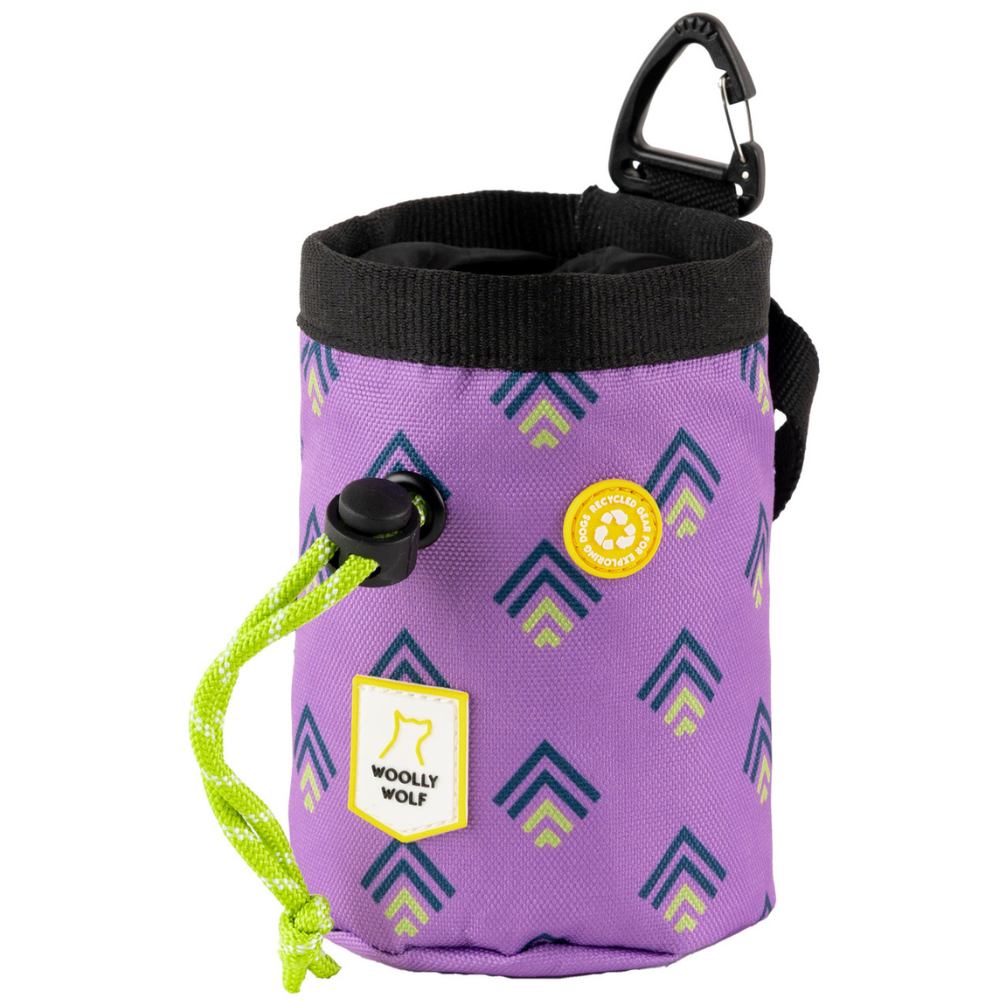 Northern Lights Snack Bag Violet