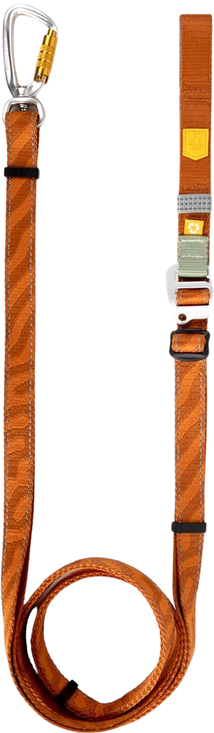 Roam Adjustable Leash Terracotta Ripple