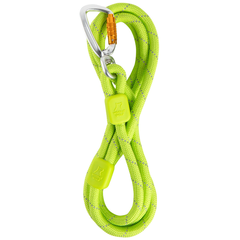 Rope Leash 10 mm Lime