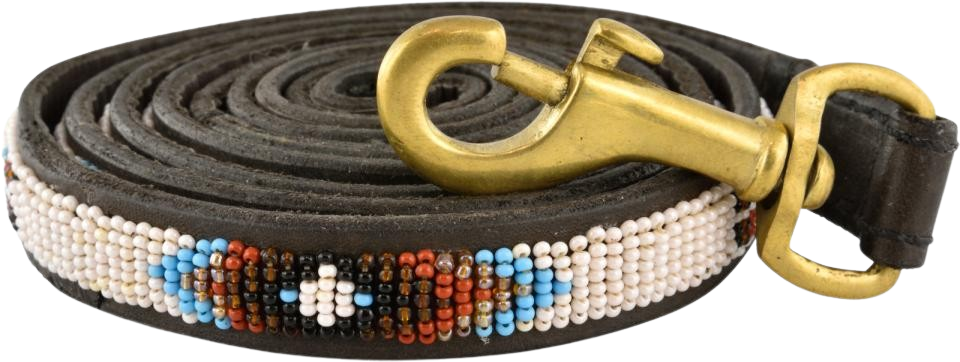 Mesa Leash L 162 x 2
